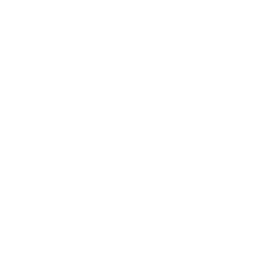 Typescript